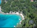 Casa vacanza Denis - 100 m from beach: H(11) Baia Osibova (Milna) - Isola di Brac  - Croazia - la spiaggia