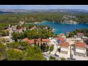 Appartamenti Dalis - open swimming pool: A1 kat(4+1), A2 prizemlje(4) Baia Osibova (Milna) - Isola di Brac  - Croazia - la vegetazione (casa e dintorni)
