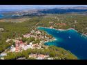 Appartamenti Dalis - open swimming pool: A1 kat(4+1), A2 prizemlje(4) Baia Osibova (Milna) - Isola di Brac  - Croazia - la vegetazione (casa e dintorni)
