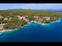 Appartamenti Dalis - open swimming pool: A1 kat(4+1), A2 prizemlje(4) Baia Osibova (Milna) - Isola di Brac  - Croazia - la spiaggia