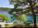 Appartamenti Ivano - 20 m from Sea: A1(6), A2(2+1), A3(2+1), A4(2), A5(2) Baia Osibova (Milna) - Isola di Brac  - Croazia - la spiaggia