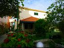 Appartamenti Ita 1 - with nice garden: A1 Ita (4), A2 Mariana (4), A3 Ivan (4+2) Postira - Isola di Brac  - il giardino (casa e dintorni)