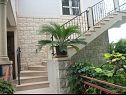 Appartamenti Damir - free parking : A1(4+2) Postira - Isola di Brac  - la scalinata (casa e dintorni)