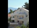 Appartamenti Branko - with terrace : A1(2+2) - Duje, A2(2+2) - Ivana Postira - Isola di Brac  - la casa