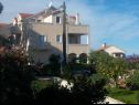 Appartamenti Orange - 30m from beach : A1(4) Postira - Isola di Brac  - la casa
