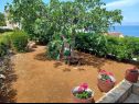 Casa vacanza Lumos - panoramic view & olive garden: H(10) Postira - Isola di Brac  - Croazia - il giardino