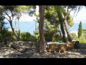 Appartamenti Tomi - 120m from the sea: A1(4+2) Postira - Isola di Brac  - la terrazza comune