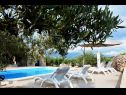 Casa vacanza Tonka - with pool; H(4+2) Pucisca - Isola di Brac  - Croazia - la piscina (casa e dintorni)