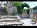 Casa vacanza Žarko - 50m from the sea H(6+2) Pucisca - Isola di Brac  - Croazia - il cortile (casa e dintorni)