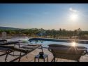 Casa vacanza Diana - pool and terrace: H(4+1) Pucisca - Isola di Brac  - Croazia - la piscina