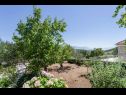 Casa vacanza Zlatna - with beautiful garden: H(6+1) Selca - Isola di Brac  - Croazia - la vegetazione