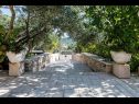 Casa vacanza Zlatna - with beautiful garden: H(6+1) Selca - Isola di Brac  - Croazia - il cortile