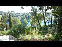 Appartamenti Dino - 20m from the sea: A1(4+1) Splitska - Isola di Brac  - la casa