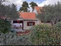 Casa vacanza Olive - 150 m from sea: H(4) Splitska - Isola di Brac  - Croazia - la casa