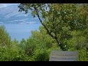 Casa vacanza Mare- close to the sea H(2) Baia Vela Lozna (Postira) - Isola di Brac  - Croazia - H(2): la terrazza