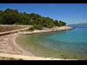 Casa vacanza Branko - large terrace : H(2) Baia Vela Lozna (Postira) - Isola di Brac  - Croazia - la spiaggia