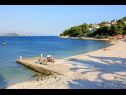Appartamenti Lilac - 100m from pebble beach : A1(7) Arbanija - Isola di Ciovo  - la spiaggia