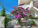 Appartamenti Lilac - 100m from pebble beach : A1(7) Arbanija - Isola di Ciovo  - la casa
