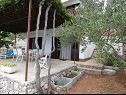 Appartamenti Marija - next to sea: A1 donji(3+2) Okrug Donji - Isola di Ciovo  - il cortile (casa e dintorni)