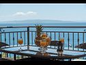 Appartamenti Daniela - terrace with amazing sea view A1(6) Okrug Gornji - Isola di Ciovo  - la casa