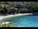 Appartamenti Griv - close to the sea: A1(4), SA3(2), A2(2) Valun - Isola di Cres  - la spiaggia