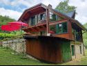 Casa vacanza Riverside house - beautiful nature: H(6) Zumberak - Croazia continentale - Croazia - la casa
