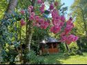 Casa vacanza Riverside house - beautiful nature: H(6) Zumberak - Croazia continentale - Croazia - i fiori
