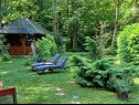 Casa vacanza Riverside house - beautiful nature: H(6) Zumberak - Croazia continentale - Croazia - la vegetazione
