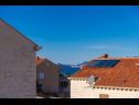 Appartamenti Pavo - comfortable with parking space: A1(2+3), SA2(2+1), A3(2+2), SA4(2+1), A6(2+3) Cavtat - Riviera Dubrovnik  - lo sguardo