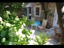 Appartamenti Milu - 80 m from sea: A1(4+1) Cavtat - Riviera Dubrovnik  - Appartamento - A1(4+1): la terrazza ortense