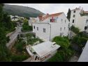 Appartamenti e camere Andri - 100m from sea: A1 Andrea(2+2), A2 Nika(2) Dubrovnik - Riviera Dubrovnik  - la casa