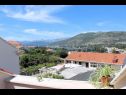 Appartamenti Ana - cosy with sea view : A4(3+2), A5(3+2) Dubrovnik - Riviera Dubrovnik  - lo sguardo (casa e dintorni)