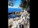 Appartamenti Ana - cosy with sea view : A4(3+2), A5(3+2) Dubrovnik - Riviera Dubrovnik  - la spiaggia