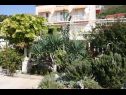 Appartamenti Nikola - free parking A11(4+1), A12(4) Mlini - Riviera Dubrovnik  - la casa