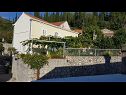 Casa vacanza Villa Marija - terrace H(6) Trsteno - Riviera Dubrovnik  - Croazia - la casa