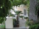 Casa vacanza Villa Marija - terrace H(6) Trsteno - Riviera Dubrovnik  - Croazia - il cortile (casa e dintorni)