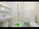 Appartamenti Silverija - garden and parking: SA1(2+1), SA2(2), SA3(2), SA4(2) Trsteno - Riviera Dubrovnik  - Studio appartamento - SA3(2): il bagno con la toilette