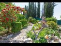 Appartamenti Silverija - garden and parking: SA1(2+1), SA2(2), SA3(2), SA4(2) Trsteno - Riviera Dubrovnik  - la vegetazione (casa e dintorni)