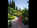 Appartamenti Silverija - garden and parking: SA1(2+1), SA2(2), SA3(2), SA4(2) Trsteno - Riviera Dubrovnik  - il giardino
