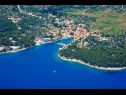 Appartamenti Silvana - 100 m from beach A1(4) Bozava - Isola di Dugi otok  - la vegetazione (casa e dintorni)