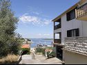 Appartamenti DaRi - 70m from Sea: A1(3), A2(3+1), A3(3+1), A4(4) Sali - Isola di Dugi otok  - la casa