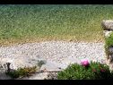 Appartamenti Sea View - 7 m from beach: A1(5+1) Baia Zarace (Gdinj) - Isola di Hvar  - Croazia - la spiaggia