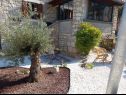 Casa vacanza Bruna - rustic stone house : H(6) Krsan - Istria  - Croazia - il giardino
