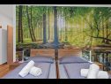 Casa vacanza LariF - luxury in nature: H(10+2) Nedescina - Istria  - Croazia - H(10+2): la camera da letto