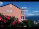 Appartamenti Jenny - sea view: A1(2+2) Ravni - Istria  - la casa