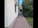 Appartamenti Ena - with free private parking: A1 Anthea (2+2), A2 Floki (2+2) Rovinj - Istria  - il giardino