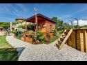 Casa vacanza Barbara - perfect holiday: H(5) Umag - Istria  - Croazia - il cortile (casa e dintorni)