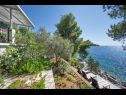 Casa vacanza Momento - peaceful resort : H(10) Blato - Isola di Korcula  - Croazia - lo sguardo