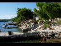 Appartamenti Mari - amazing sea view: A1(4), A2(4) Baia Karbuni (Blato) - Isola di Korcula  - Croazia - la spiaggia