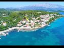 Appartamenti Relax - 50 m from sea: A1(2+2) Lumbarda - Isola di Korcula  - la vegetazione (casa e dintorni)